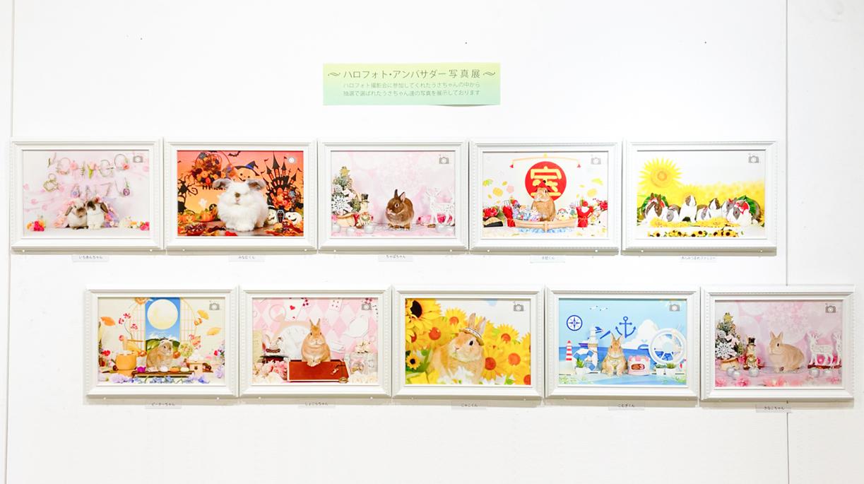 ハロフォト・アンバサダー展示の様子