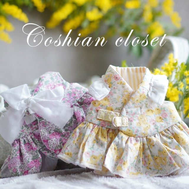 Coshian closet