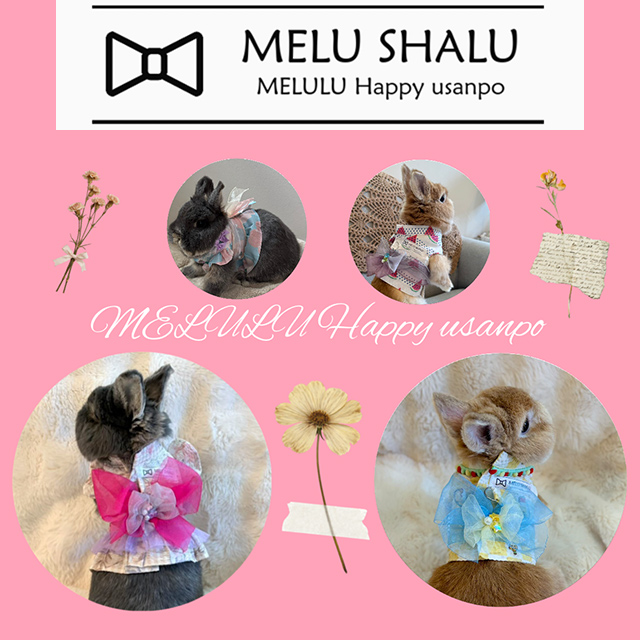 MELULU Happy usanpo♡