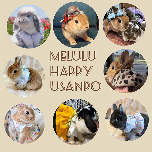 MELULU Happy usanpo♡
