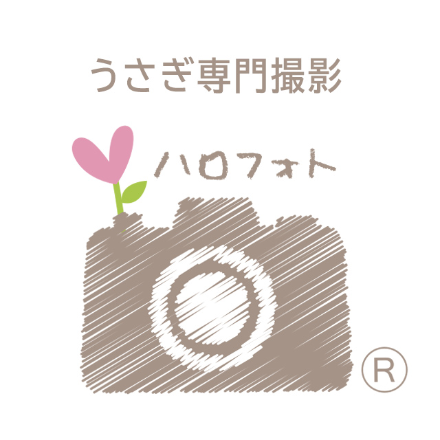 ハロフォト